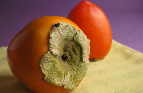 Photo of Persimmon Whipped Cream