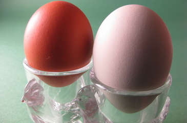 Photo of Hard Boiled Eggs