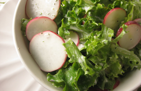 Photo of Radish & Greens Salad