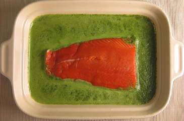 Photo of Sorrel Salmon