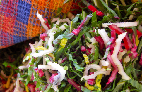 Photo of Chard Slaw