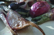 Photo of Radishes and Baby Beets