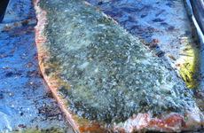 Photo of Pesto Salmon