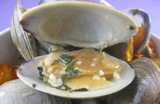 Photo of Fresh Clams