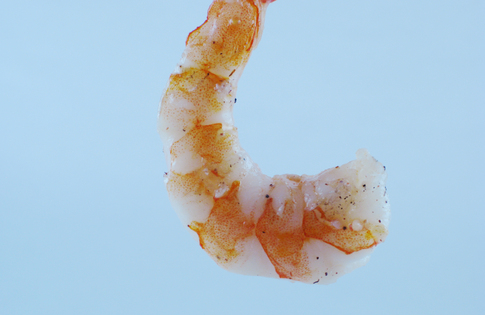 Photo of Poached Shrimp