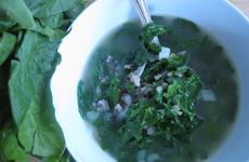 Photo of Spinach & Wild Rice Soup