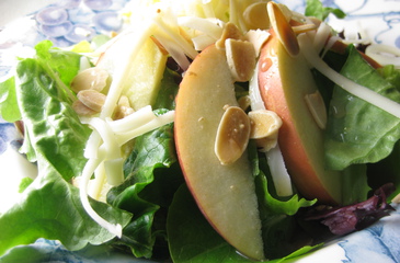 Photo of Gruyere Apple Salad