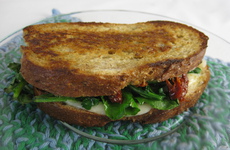 Photo of Grilled Herb & Sun-Dried Tomato Sandwich
