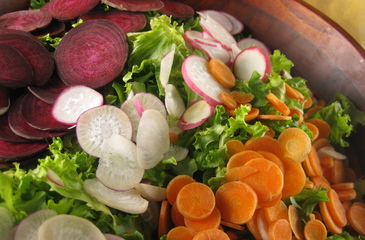 Photo of Spring Root Salad