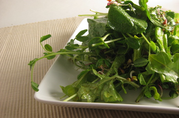 Photo of Sprouts & Baby Greens