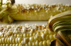 Photo of Elote Corn