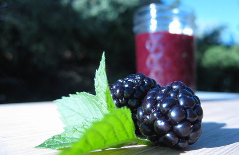 Photo of Blackberry Barbeque Sauce