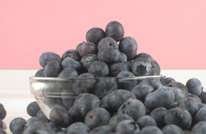 Photo of Blueberry Sauce