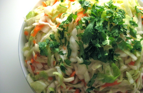 Photo of Curdito Cabbage Salsa 