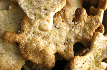 Photo of Fennel Crackers